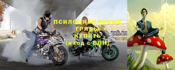 a pvp Медвежьегорск