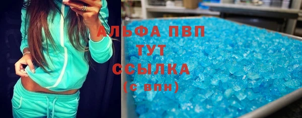 ПСИЛОЦИБИНОВЫЕ ГРИБЫ Магас