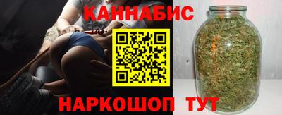 молекула духа Камышлов