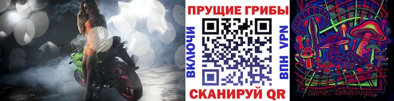 купить   это клад  Псилоцибиновые грибы ЛСД  Мичуринск 